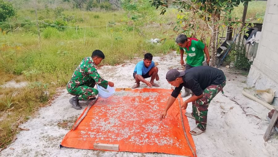 Babinsa pengadah bantu warga jemur ikan bilis