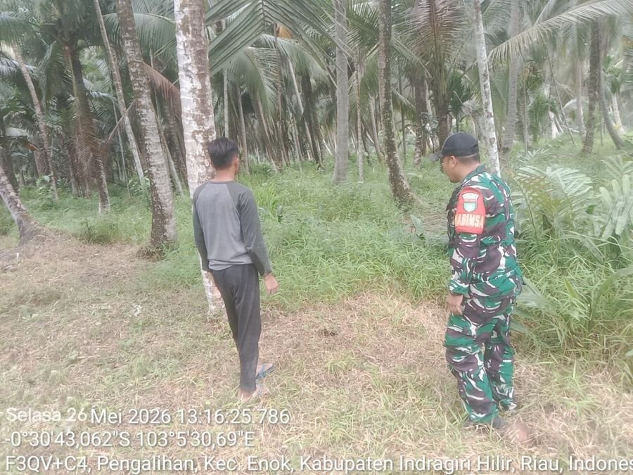 Babinsa Pengalihan Koramil 02/TM Patroli Tapal Batas, Wilayah Dipastikan Bebas Titik Api