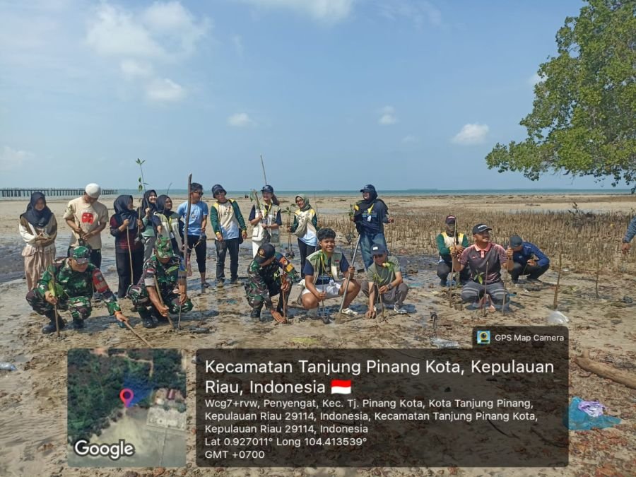 Babinsa Penyengat Bersama Mahasiswa KKN UGM Tanam Mangrove di Kawasan Pesisir