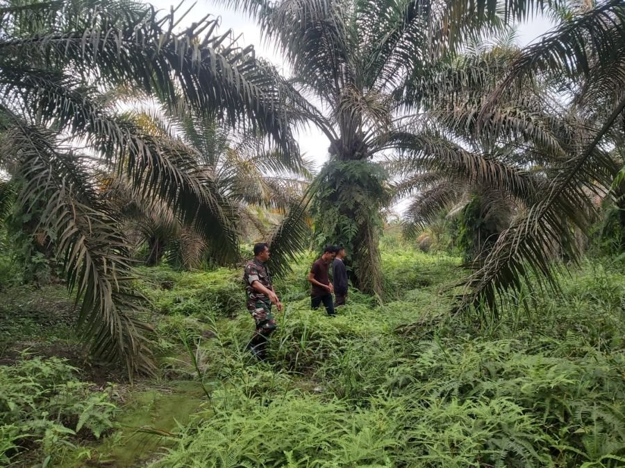 Babinsa Perawang Perketat Pengawasan Titik Rawan Karhutla di Kp Keranji Guguh