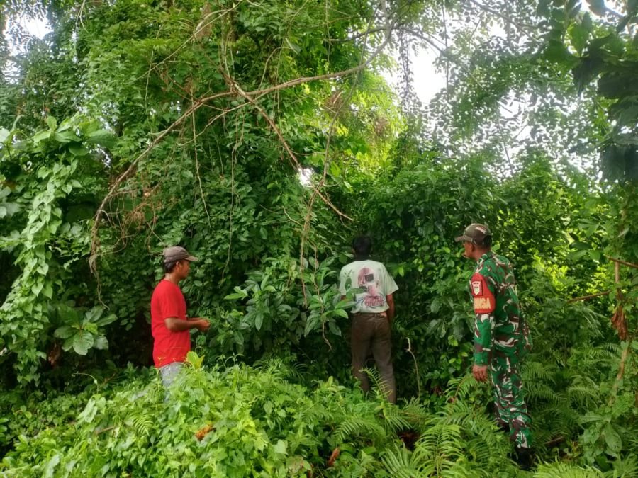 Babinsa pos ramil rupat utara gencar melaksanakan patroli dan komsos diwilayah aset pertamina