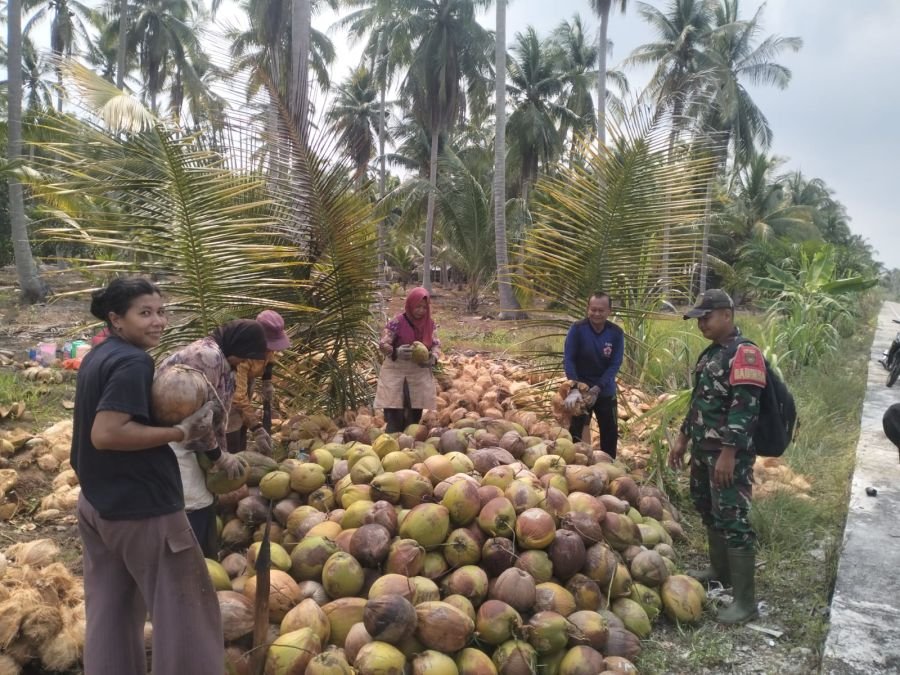 Babinsa Praka Gulo Sambangi Petani Kelapa, Ajak Warga Cegah Karhutla dan Amalkan Pancasila
