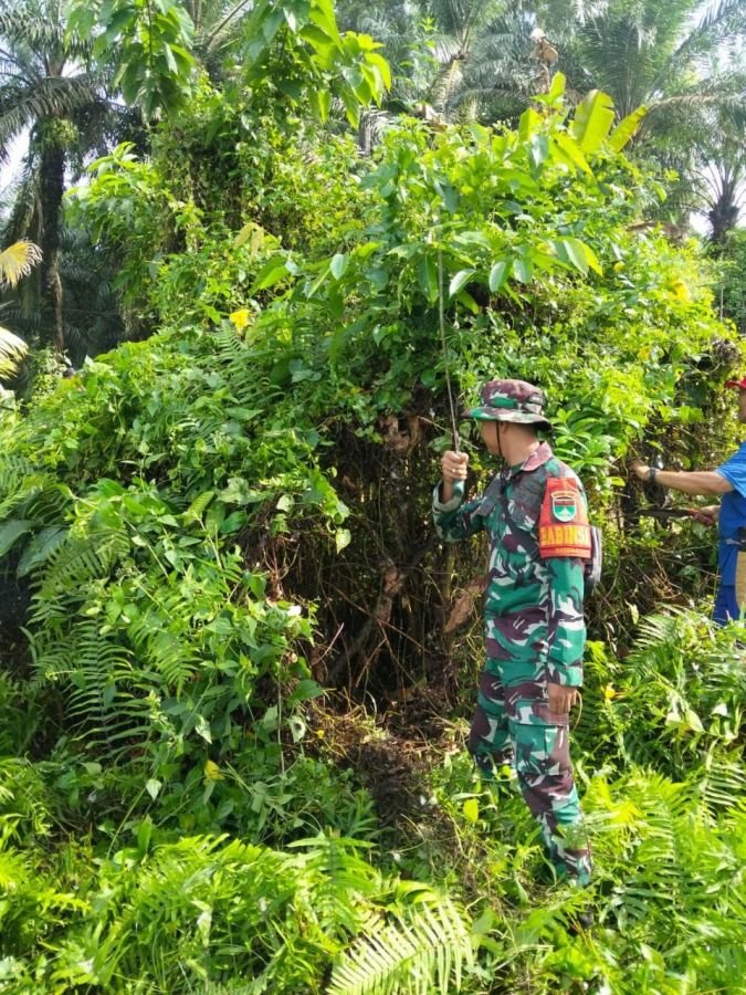 Babinsa Ramil 06/Cerenti Gotong Royong Bersama Warga Desa Teluk Pauh