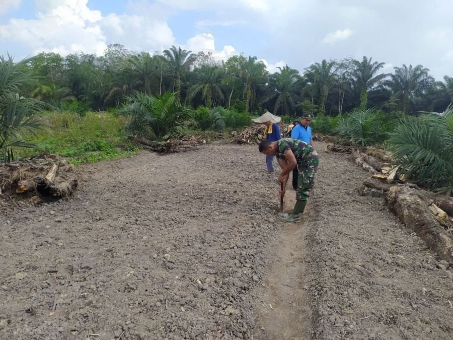 Babinsa Ramil 07/KH Bantu Petani Siapkan Lahan Semangka di Bumi Mulya