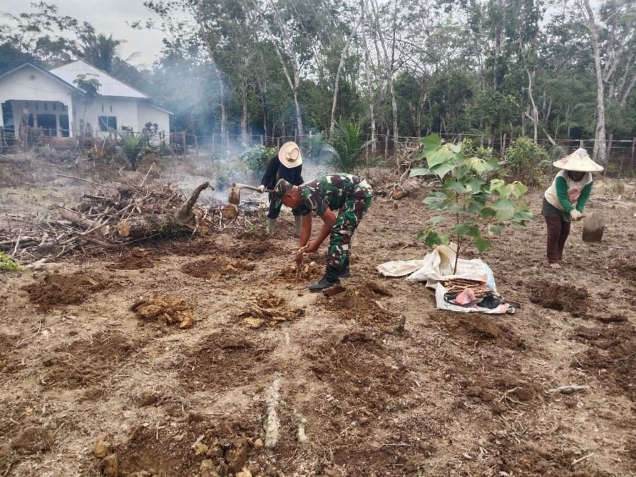 Babinsa Ramil 07/KH Perkuat Ketahanan Pangan Lewat Aksi di Lahan