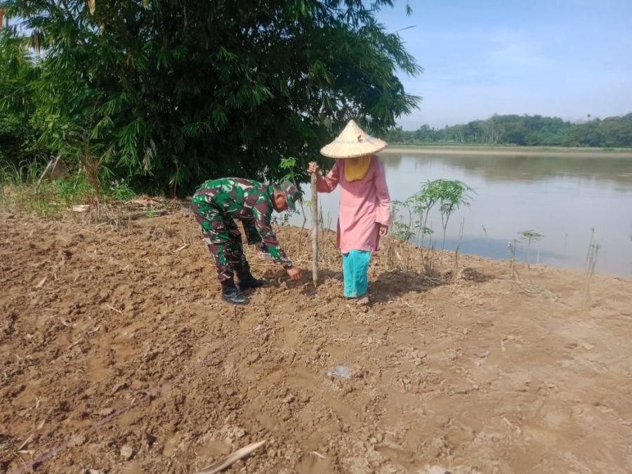 Babinsa Ramil 07/KH Perkuat Ketahanan Pangan Lewat Penanaman Jagung