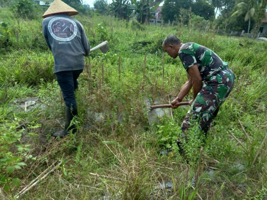 Babinsa Ramil 07/KH Turun ke Sawah, Bantu Petani Siapkan Lahan Cabai