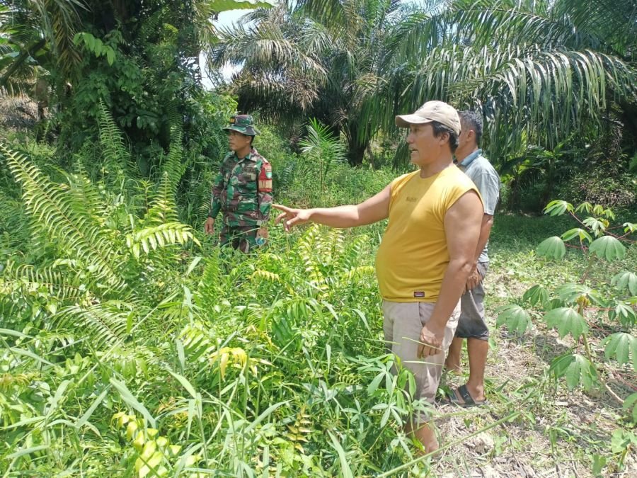 Babinsa Rumbai Barat Turun Langsung Edukasi Warga Cegah Kebakaran Lahan