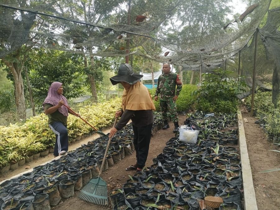 Babinsa Rumbai Barat Turun Tangan Bersama Warga Kelola Persemaian, Dorong Lingkungan Produktif