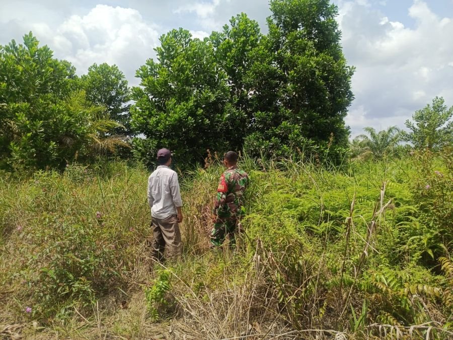 Babinsa Rumbai Gencarkan Edukasi dan Patroli Pencegahan Karhutla kepada Masyarakat