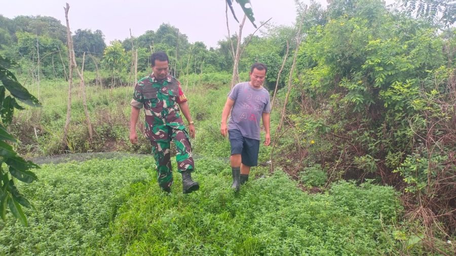 Babinsa Rumbai Pantau Pembangunan KDKMP, Wujudkan Dukungan bagi Ekonomi Warga