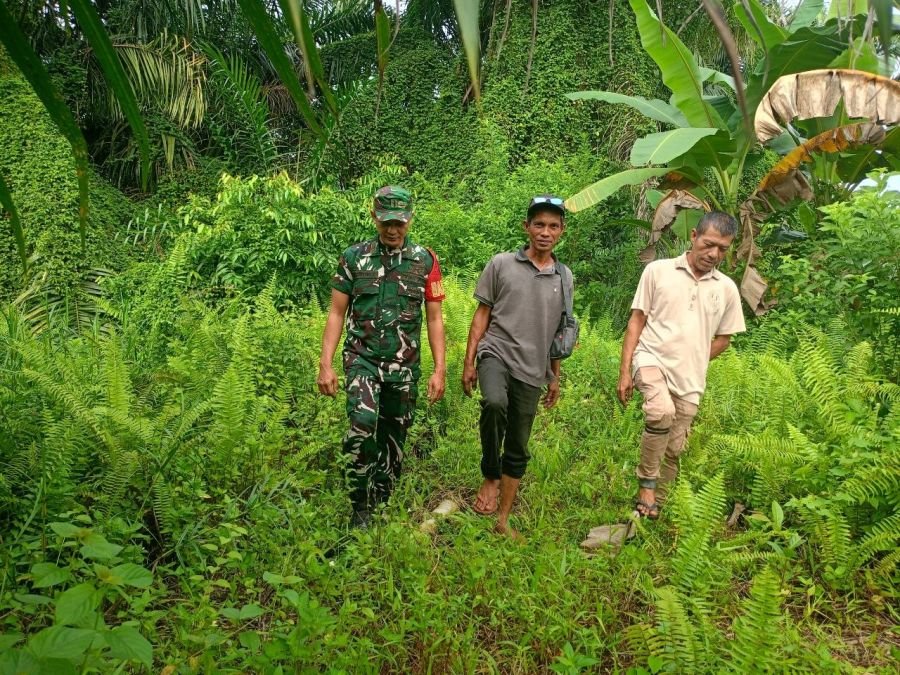 Babinsa Rumbai Timur Sisir Titik Rawan Karhutla, Tak Beri Celah Sedikit Pun bagi Pembakar Lahan