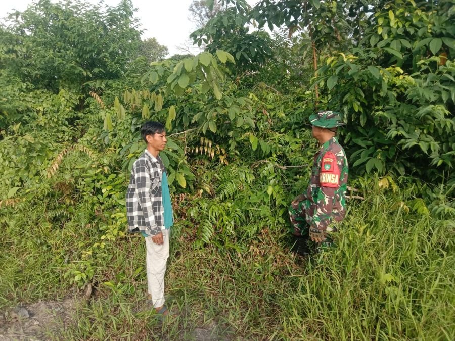 Babinsa Rupat Perketat Patroli Karhutla di Parit Kebumen