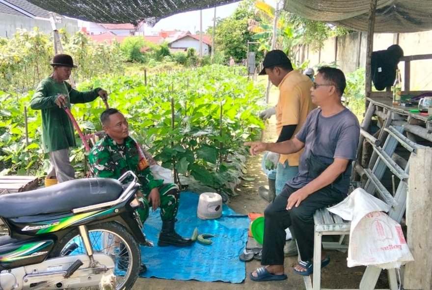 Babinsa Sail Dekat dengan Petani, Perkuat Ketahanan Pangan dari Lingkungan Perumahan