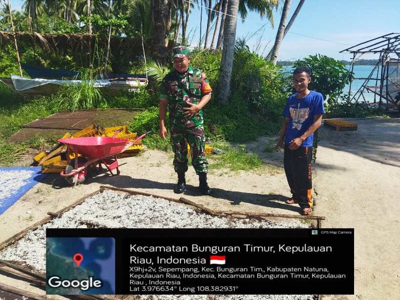 Babinsa Sepempang Dorong Produksi Ikan Teri Berkualitas dan Aman