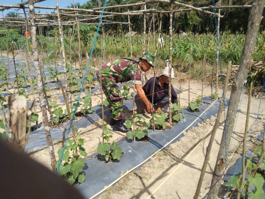 Babinsa Serap Aspirasi Petani Lewat Komsos di Desa Betung