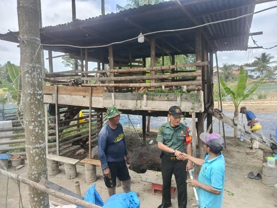 Babinsa Serda J.A.Sitorus Turun ke Kandang, Peternak Kambing Sidomukti Didorong Berkembang