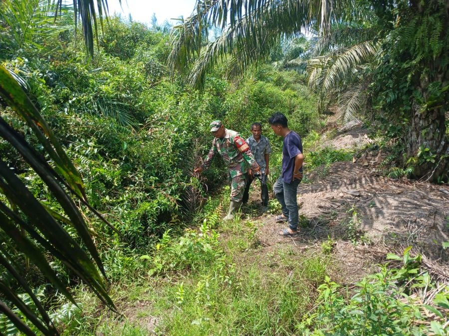 Babinsa Serda Khairul Intensif Patroli Karhutla di Lubuk Gaung, Warga Diajak Cegah Pembakaran Lahan