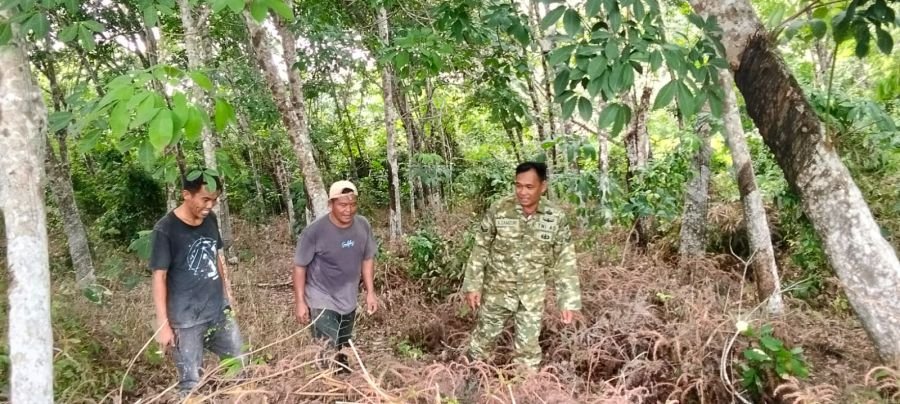 Babinsa Sertu A.zamzuri dan Serda Imam s, laksanakan patroli Karhutla di desa binaan