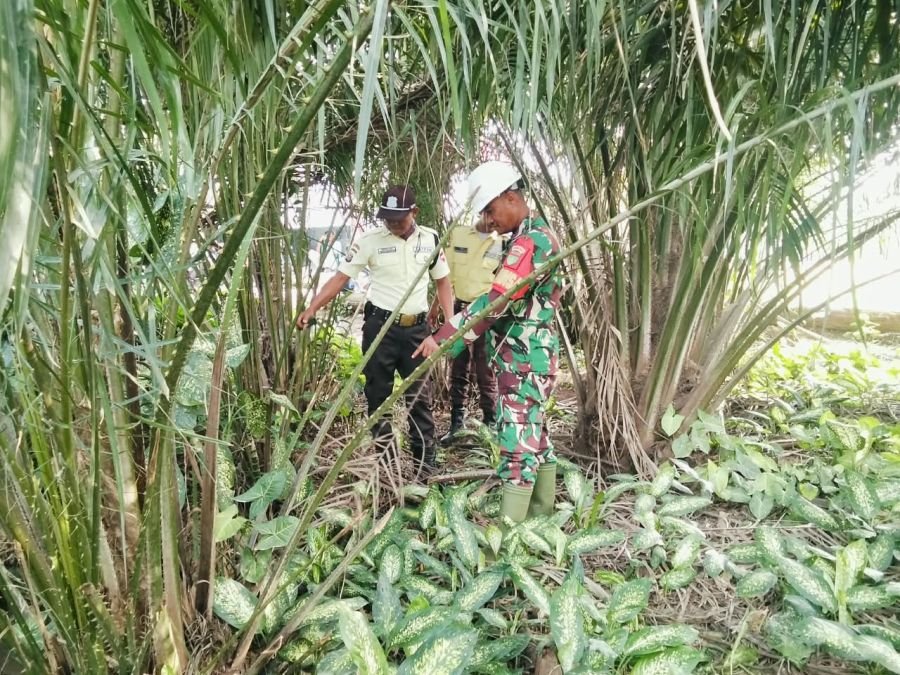 Babinsa Sertu Dodi dan Security PT BBHA Perkuat Patroli Karhutla di Desa Temiang