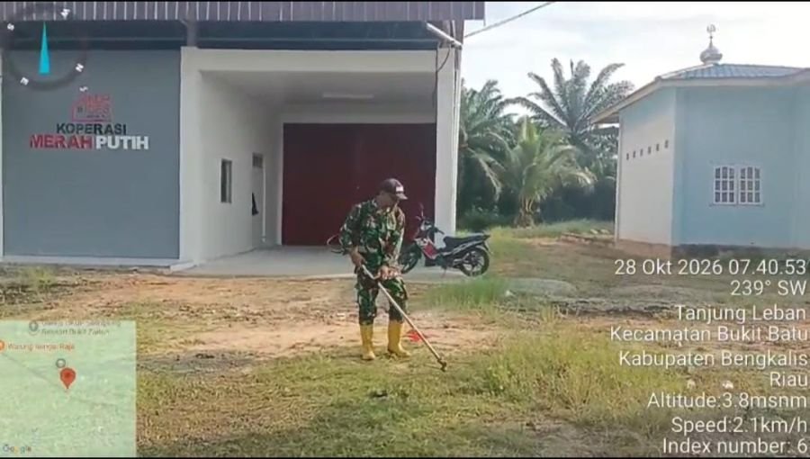 Babinsa Sertu P. Silaen Jaga Kesiapan KDKMP Tanjung Leban, Kebersihan Lapangan Terus Dipelihara