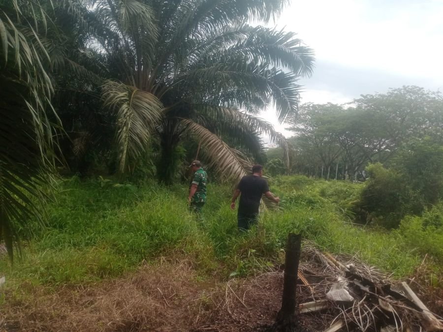 Babinsa Siak gencarkan patroli Karhutla bersama masyarakat,desa aman dari titik api