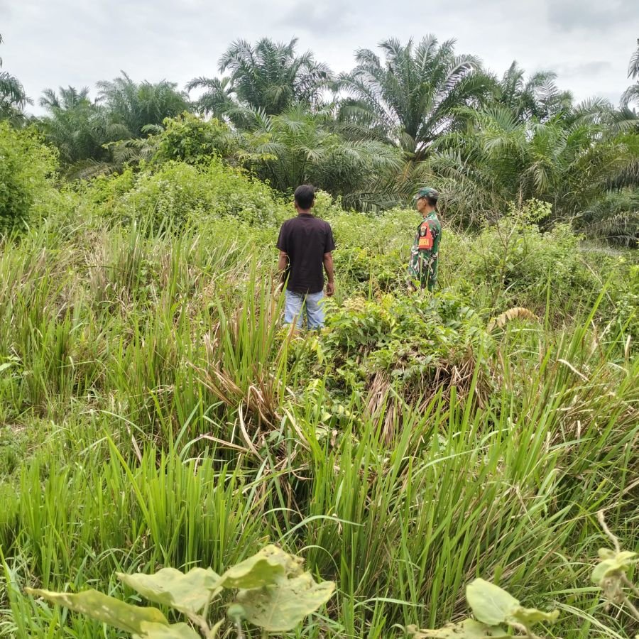 Babinsa Sisir Area Rawan Karhutla di Sungai Daun Rohil