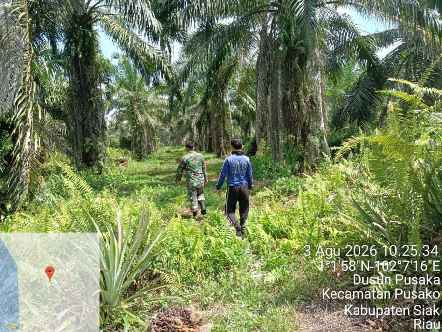 Babinsa Sisir Dusun Pusaka, Titik Api dan Asap Nihil
