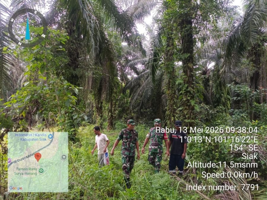 Babinsa Sisir Lahan Rawan Karhutla di Kandis, Nihil Titik Api