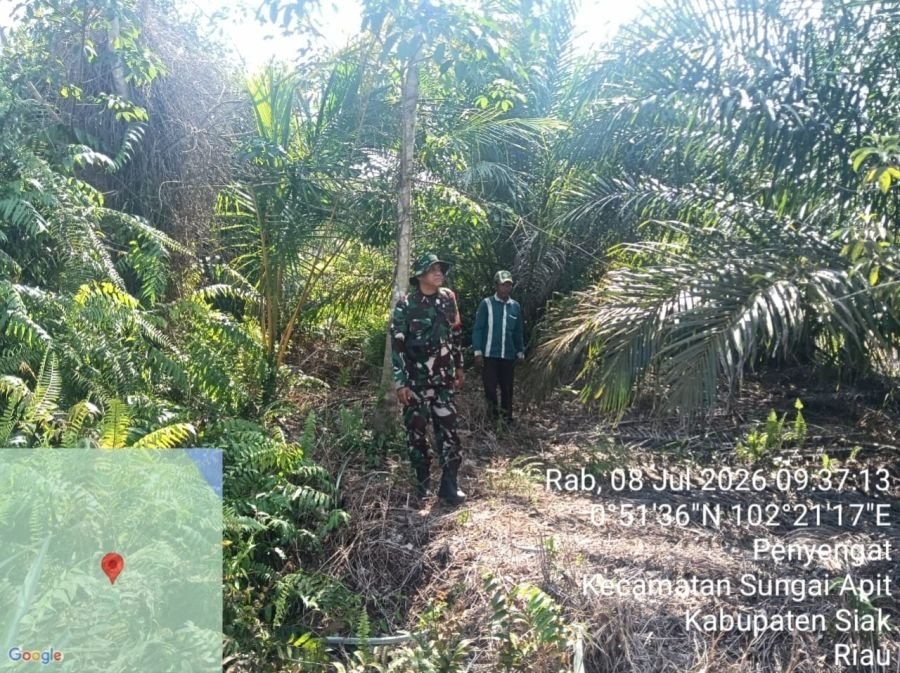 Babinsa Sisir Penyengat, Karhutla Nihil di Sungai Apit