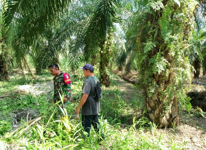 Babinsa Sisir Teluk Mesjid, Titik Api dan Asap Nihil