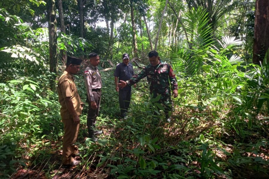 Babinsa Sisir Titik Rawan, Karhutla Pancur Jaya Tetap Terkendali