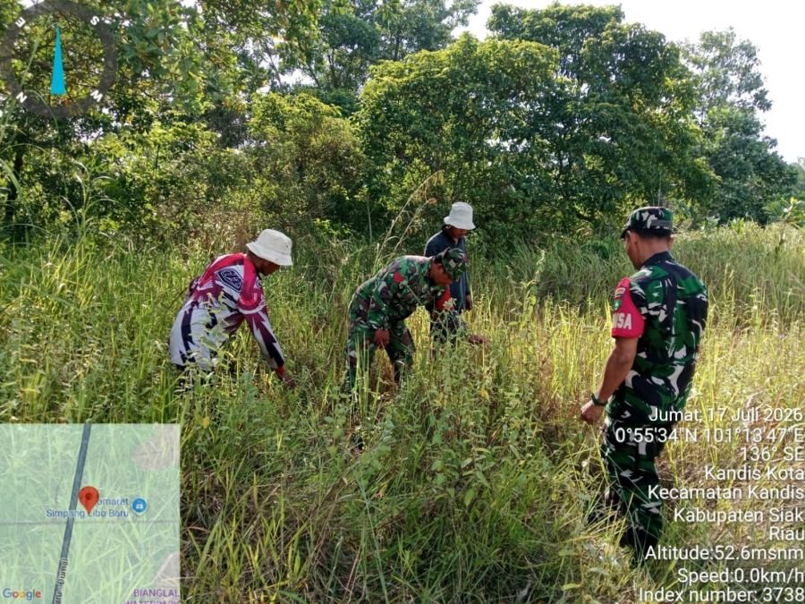 Babinsa Sisir Wilayah Rawan, Karhutla di Kandis Kota Nihil