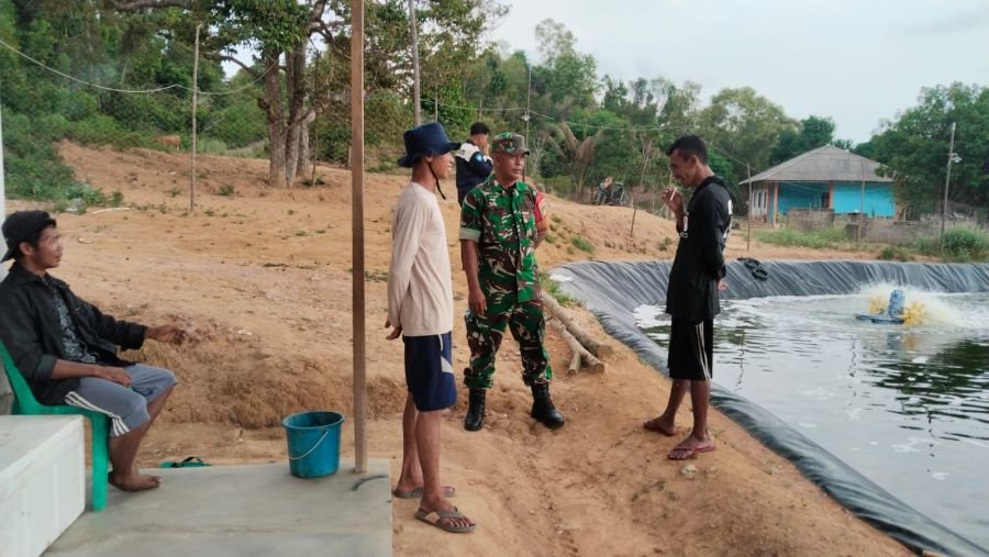 Babinsa Sugie Dampingi Nelayan Udang, Perkuat Keselamatan dan Kemitraan