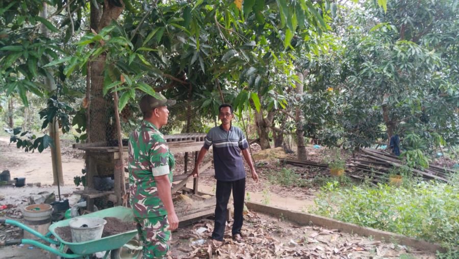 Babinsa Sugie Dorong Warga Manfaatkan Pekarangan untuk Ketahanan Pangan
