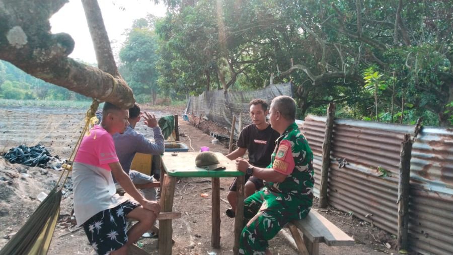 Babinsa Sugie Temui Petani, Serma M. Amin Bahas Tantangan Musim Hujan