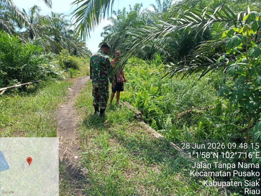 Babinsa Sungai Apit Pastikan Wilayah Pusako Bebas Karhutla