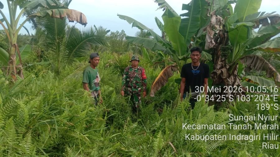Babinsa Sungai Nyiur Koramil 02/TM Gelar Sosialisasi dan Patroli Tapal Batas, Wilayah Aman dari Titi