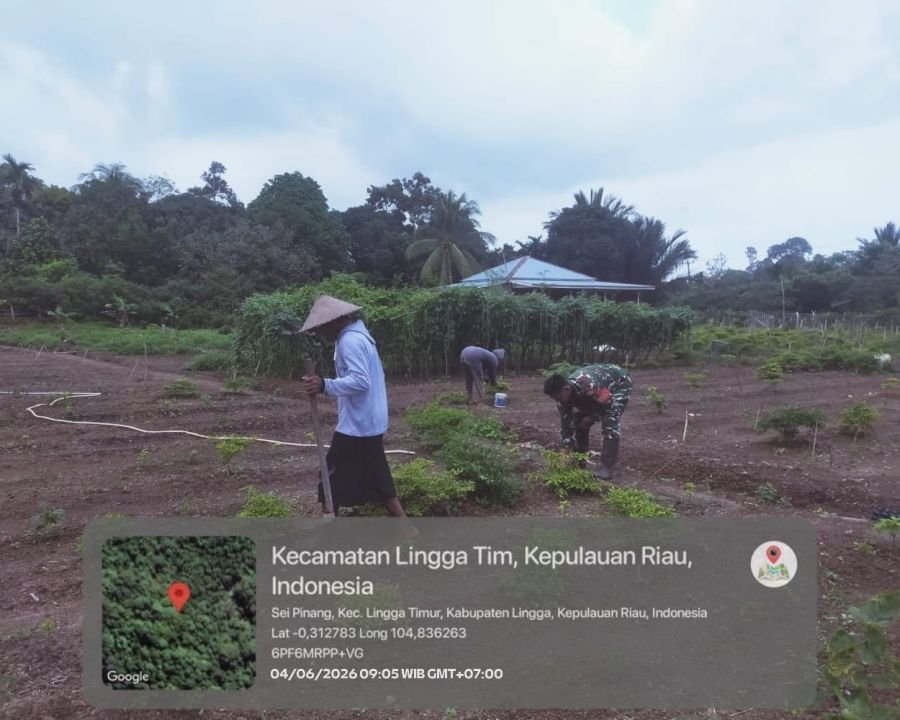 Babinsa Sungai Pinang Bantu Warga Bersihkan Kebun, Wujud Kedekatan TNI dengan Masyarakat