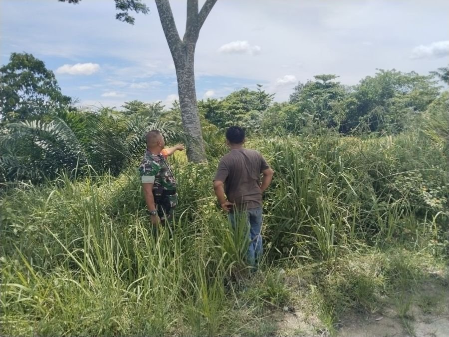 Babinsa Tampan Gencarkan Patroli Karhutla, Wilayah Payung Sekaki Dipastikan Aman.