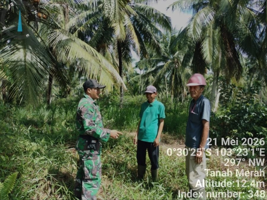 Babinsa Tanah Merah Serka P Siregar koaramil 02/TM Patroli Tapal Batas, Pastikan Nihil Titik Api