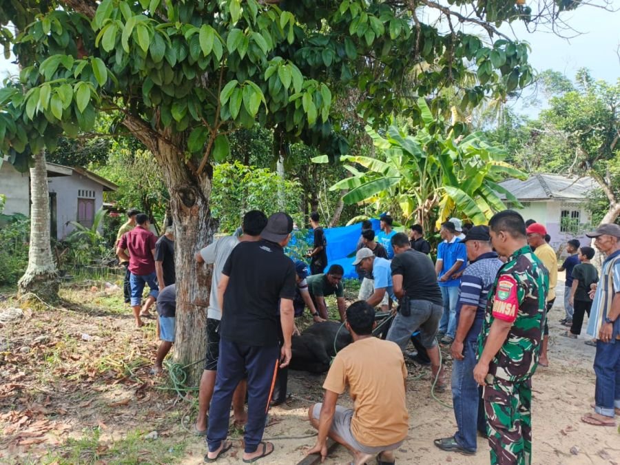 Babinsa Tanjung Batu Barat Kawal Ketat Pemotongan Kurban