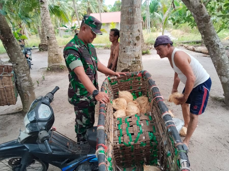 Babinsa Telaga Tujuh Turun ke Kebun, Serap Kendala Petani Kelapa