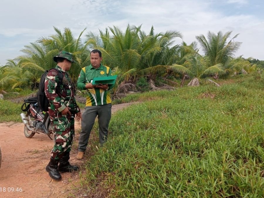 BABINSA TELUK RADANG CEK KONDISI LAHAN PERTANIAN WARGA
