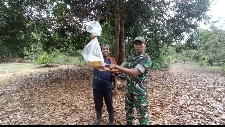 Babinsa Tembeling Tanjung Ajak Peternak Lebah Kelulut Jaga Kelestarian Ekosistem.