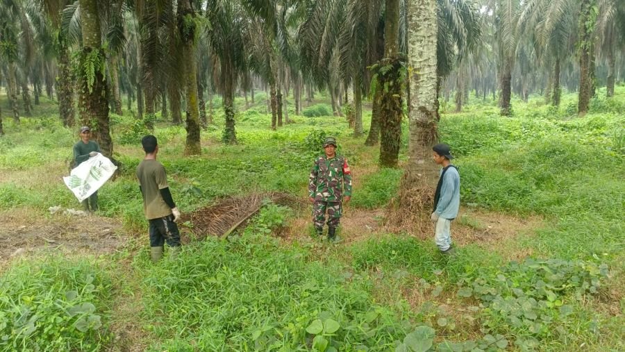 Babinsa Tenayan Raya Bersama MPA Intensifkan Patroli Cegah Karhutla