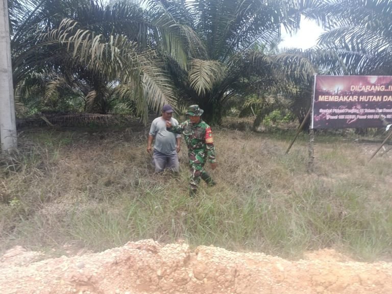 Babinsa Tenayan Raya Gencarkan Patroli Karhutla, Pastikan Wilayah Bebas Titik Api