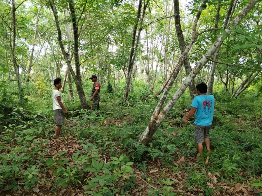 Babinsa Tingkatkan Kewaspadaan, Cegah Karhutla di Tanjung Leban