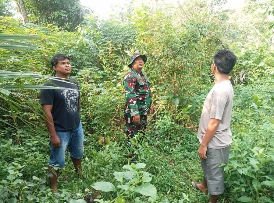 Babinsa Tingkatkan Kewaspadaan Melalui Patroli Karhutla di Musim Kemarau