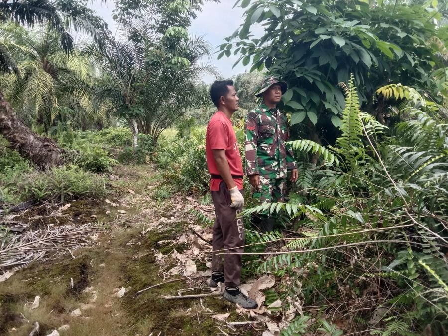 Babinsa Tingkatkan Patroli Karhutla di Parit Kebumen
